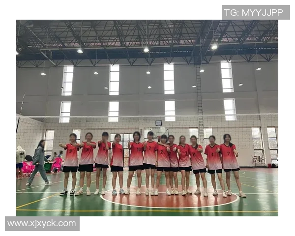 南京排球队的奋斗与荣耀：一段不平凡的排球纪实之旅