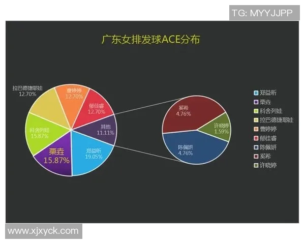 武汉排球队技术对比深度解析与未来发展趋势探讨