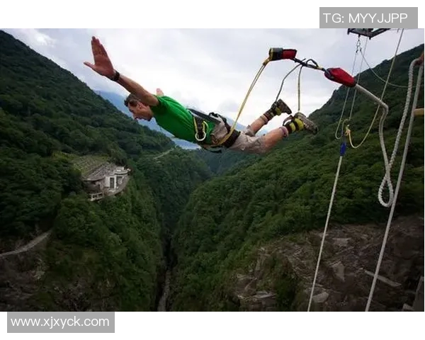 北京极限运动队战术分析与策略探讨聚焦极限运动的未来发展方向