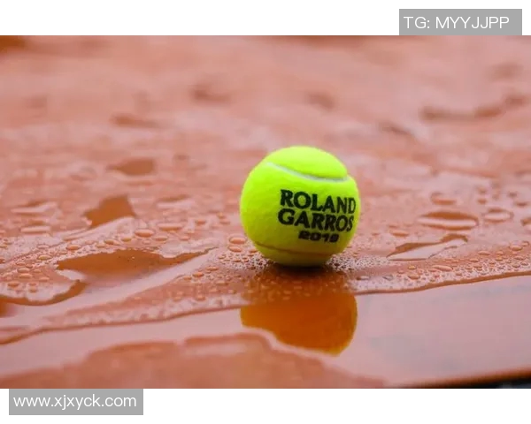 深度对话赵伟网球人生的起伏与追梦之路