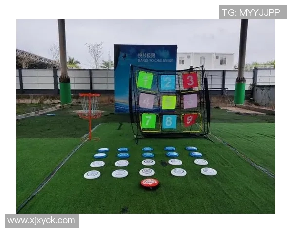 飞盘盛宴：深入武汉飞盘队的战术与技巧探讨