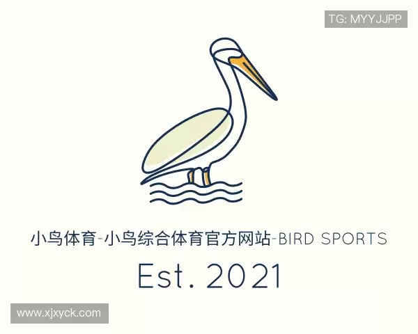 解读小鸟体育